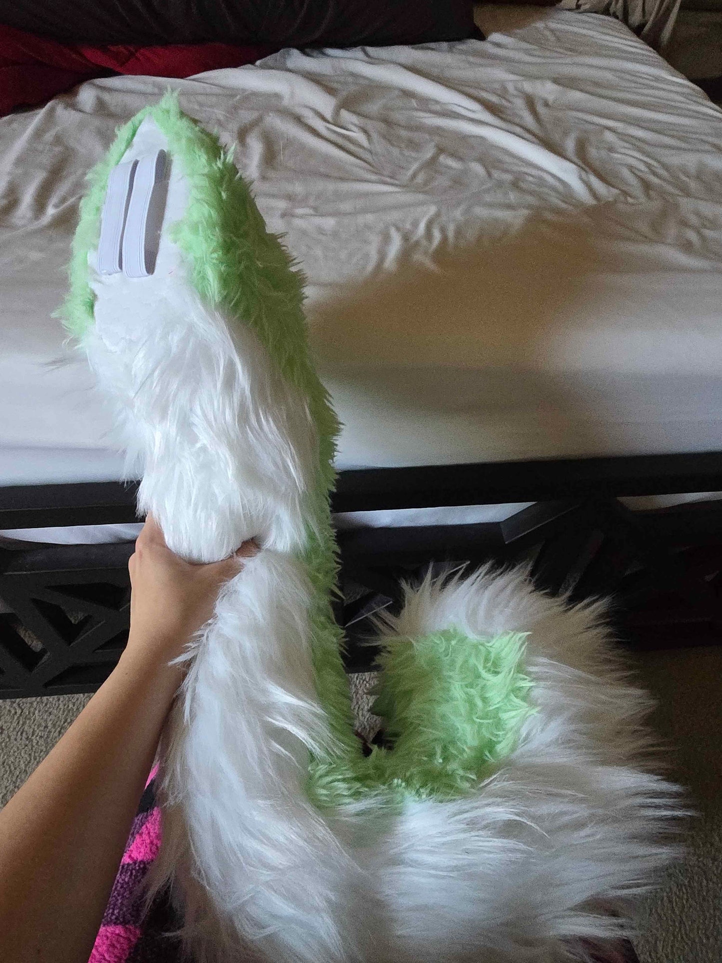 Green Cat Tail