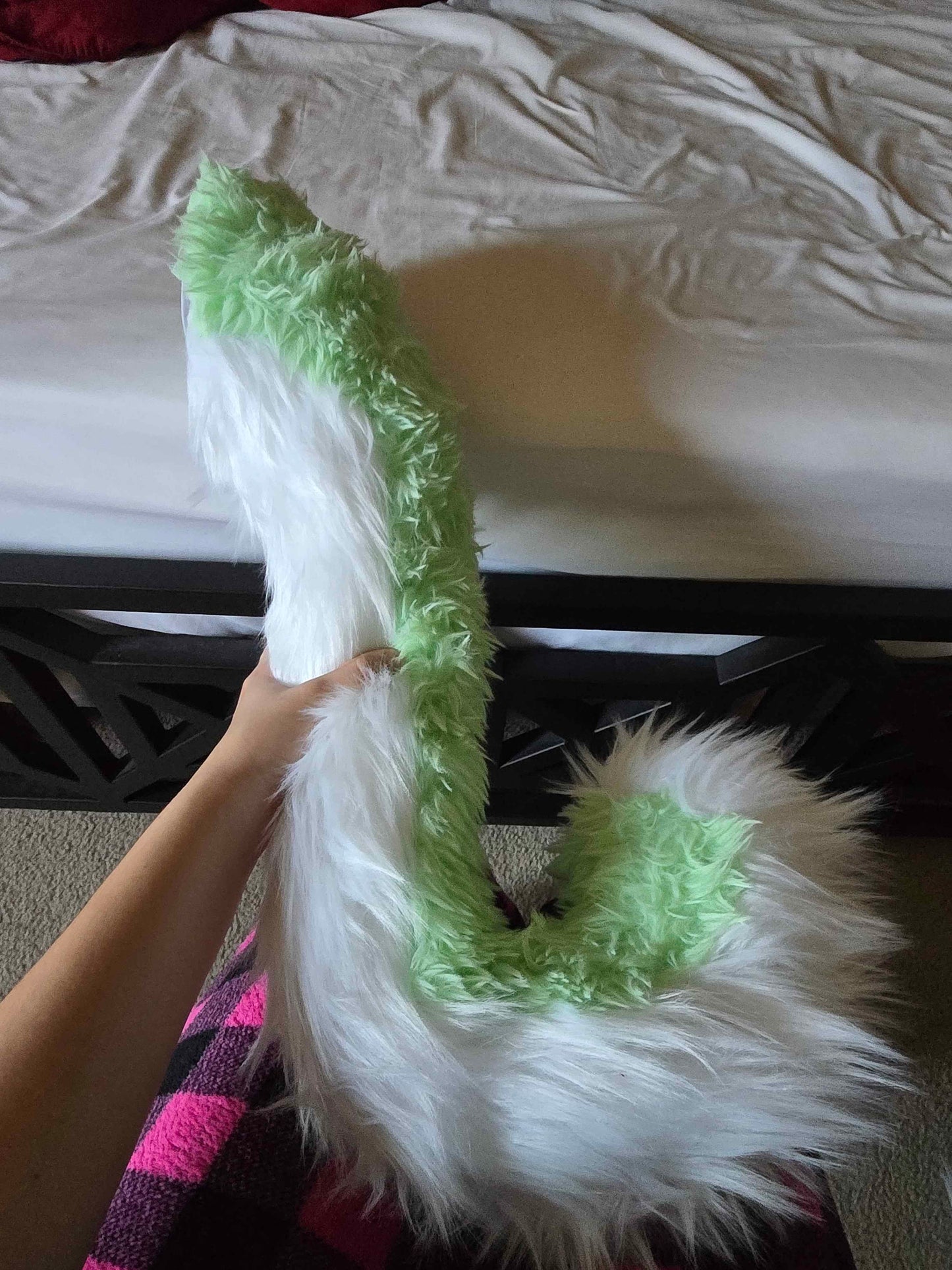 Green Cat Tail